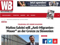 Bild zum Artikel: Matteo Salvini will „Anti-Migranten-Mauer' an der Grenze zu Slowenien