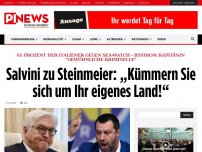 Bild zum Artikel: 61 Prozent der Italiener gegen Sea-Watch - Bystron: Kapitänin 'gewöhnliche Kriminelle' Salvini zu Steinmeier: „Kümmern Sie sich um Ihr eigenes Land!“