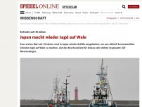 Bild zum Artikel: Erstmals seit 31 Jahren: Japan macht wieder Jagd auf Wale