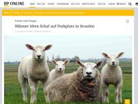 Bild zum Artikel: Zeugen gesucht: Männer schlachten Schaf auf Parkplatz in Straelen