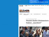 Bild zum Artikel: Reaktion auf Rackete-Festnahme: Weidel findet Steinmeiers Kritik an Italien „unerhört“