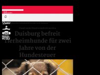 Bild zum Artikel: Duisburg befreit Tierheimhunde für zwei Jahre von der Hundesteuer