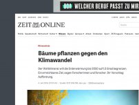 Bild zum Artikel: Klimaschutz: Bäume pflanzen gegen den Klimawandel