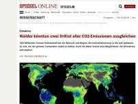 Bild zum Artikel: Klimakrise: Wälder könnten zwei Drittel aller CO2-Emissionen ausgleichen