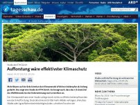 Bild zum Artikel: Studie der ETH Zürich: Aufforstung wäre effektivster Klimaschutz