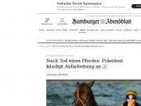 Bild zum Artikel: Hamburg: Schock beim Derby in Horn! Pferd stirbt bei Seejagdrennen