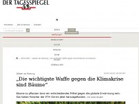 Bild zum Artikel: 'Die wichtigste Waffe gegen die Klimakrise sind Bäume'