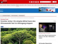 Bild zum Artikel: Schweizer Studie - Forscher sicher: Ein simples Mittel kann den Klimawandel fast im Alleingang stoppen