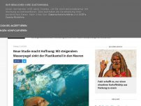 Bild zum Artikel: Neue Studie macht Hoffnung: Mit steigendem Wasserpegel sinkt der Plastikanteil in den Meeren