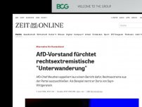 Bild zum Artikel: Alternative für Deutschland: AfD-Vorstand fürchtet rechtsextremistische 'Unterwanderung'
