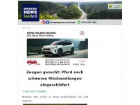 Bild zum Artikel: Zeugen gesucht: Pferd nach schweren Misshandlungen eingeschläfert