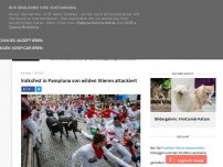 Bild zum Artikel: Volksfest in Pamplona von wilden Stieren attackiert