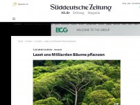 Bild zum Artikel: Umwelt: Lasst uns Milliarden Bäume pflanzen