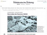 Bild zum Artikel: Verdacht auf Tierquälerei: Das Leiden der Nummer 38.540