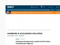 Bild zum Artikel: Hamburgs Umweltsenator spricht sich für Verbot innerdeutscher Flüge aus