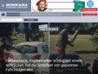 Bild zum Artikel: Faktencheck: Asylbewerber schlug mit einem armdicken Ast die Scheiben von geparkten Fahrzeugen ein!