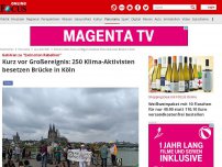 Bild zum Artikel: Gehören zu 'Extinction Rebellion' - Kurz vor Großereignis: 250 Klima-Aktivisten besetzen Brücke in Köln