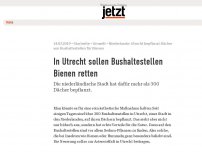 Bild zum Artikel: In Utrecht sollen Bushaltestellen Bienen retten