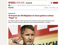 Bild zum Artikel: Medienbericht: 40 Prozent der AfD-Mitglieder im Osten gehören rechtem 'Flügel' an