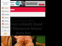 Bild zum Artikel: Besitzer schleift Hund fünf Kilometer hinter Auto her