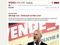 Bild zum Artikel: Brandenburg-Wahl: AfD liegt vorn - Vierkampf um Platz zwei
