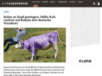 Bild zum Artikel: Ruhm zu Kopf gestiegen: Milka-Kuh verletzt auf Kokain drei deutsche Wanderer