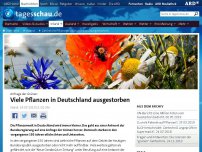 Bild zum Artikel: Zahlreiche Pflanzen in Deutschland ausgestorben