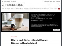 Bild zum Artikel: Klimawandel: Dürre und Käfer töten Millionen Bäume in Deutschland