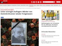 Bild zum Artikel: Erneute Haftstrafe möglich - Unter strengen Auflagen: Mörder von Dominik Brunner wieder freigelassen