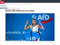 Bild zum Artikel: Parteitag versinkt im Streit: Bayern-AfD zerfleischt sich selbst