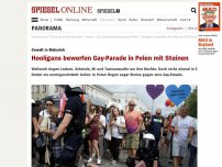 Bild zum Artikel: Ausgrenzung: Hooligans bewerfen Gay-Parade in Polen mit Steinen