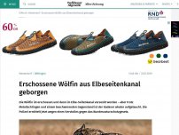 Bild zum Artikel: Erschossene Wölfin aus Elbeseitenkanal geborgen