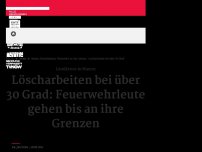 Bild zum Artikel: Löscharbeiten bei über 30 Grad: Feuerwehrleute gehen bis an ihre Grenzen