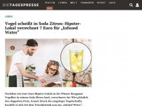 Bild zum Artikel: Vogel scheißt in Soda Zitron: Hipster-Lokal verrechnet 7 Euro für „Infused Water“