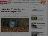Bild zum Artikel: Bezirk Wolfsberg: In Kärnten: 35 tote Hunde in Plastiksäcken gefunden