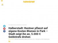 Bild zum Artikel: Halberstadt: Rentner pflanzt auf eigene Kosten Blumen in Park – Stadt zeigt ihn an, 5.000 € Geldstrafe drohen