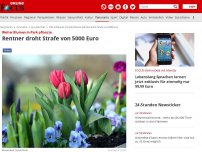 Bild zum Artikel: Weil er Blumen in Park pflanzte - Rentner droht Strafe von 5000 Euro