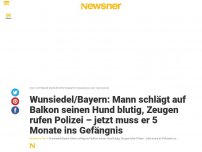 Bild zum Artikel: Wunsiedel/Bayern: Mann schlägt auf Balkon seinen Hund blutig, Zeugen rufen Polizei – jetzt muss er 5 Monate ins Gefängnis