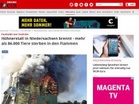 Bild zum Artikel: Feuerwehr war machtlos - Hühnerstall in Niedersachsen brennt - mehr als 86.000 Tiere sterben in den Flammen