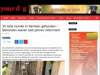 Bild zum Artikel: Geschützt: 35 tote Hunde in Kärnten gefunden – Behörden waren seit Jahren informiert