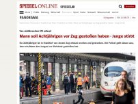Bild zum Artikel: Frankfurter Hauptbahnhof: Junge von einfahrendem ICE erfasst und getötet