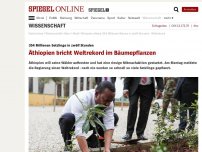 Bild zum Artikel: 354 Millionen Setzlinge in zwölf Stunden: Äthiopien bricht Weltrekord im Bäume Pflanzen