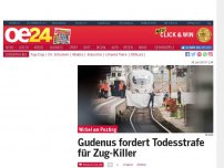 Bild zum Artikel: Gudenus fordert Todesstrafe für Zug-Killer
