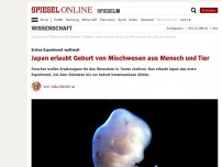 Bild zum Artikel: Erstes Experiment weltweit: Japan erlaubt Geburt von Mischwesen aus Mensch und Tier