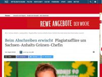 Bild zum Artikel: Beim Abschreiben erwischt: Plagiatsaffäre um Sachsen-Anhalts Grünen-Chefin