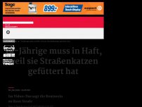 Bild zum Artikel: 79-Jährige muss in Haft, weil sie Straßenkatzen gefüttert hat