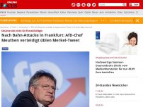 Bild zum Artikel: Schäme sich nicht für Partei-Kollegin - Nach Bahn-Attacke in Frankfurt: AfD-Chef Meuthen verteidigt üblen Merkel-Tweet