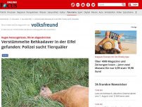 Bild zum Artikel: Augen herausgerissen, Ohren abgeschnitten - Verstümmelte Rehkadaver in der Eifel gefunden: Polizei sucht Tierquäler