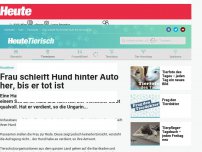 Bild zum Artikel: Frau schleift Hund hinter Auto her, bis er tot ist