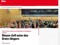 Bild zum Artikel: Streit, Schweiz-Gemotze und Heulkrämpfe am Klimagipfel in Lausanne: Riesen-Zoff unter den Greta-Jüngern!